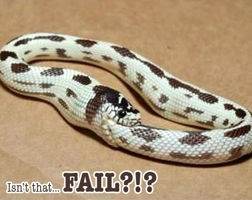 snake-eating-itself-fail