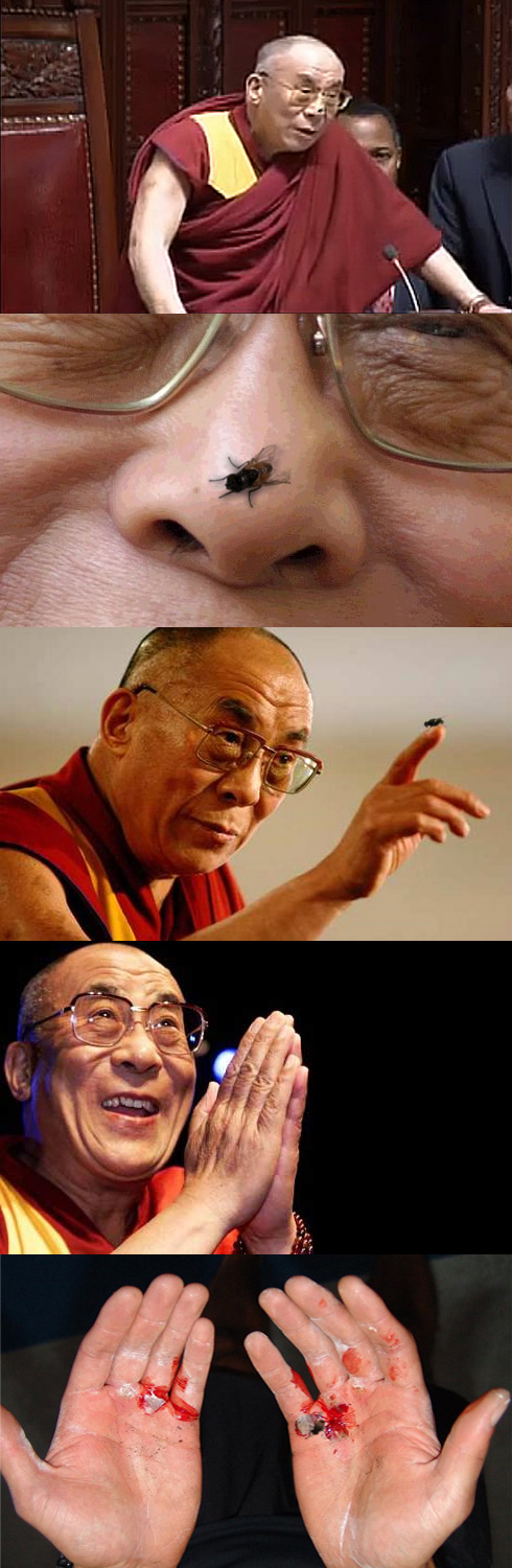 Dalai Lama's Fly Technique